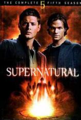 【美剧】邪恶力量 第五季 Supernatural Season 5