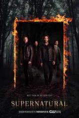 【美剧】邪恶力量 第十二季 Supernatural Season 12