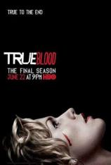 【美剧】真爱如血 第七季 True Blood Season 7