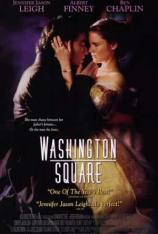华盛顿广场 Washington Square