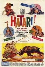【4K原盘】哈泰利 Hatari!