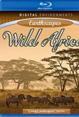 地球大视野：野性非洲 