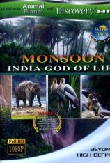 狂野亚洲：雨季 印度的生命之神 