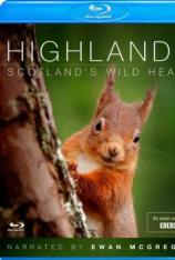 高地：苏格兰狂野之心 第一季 