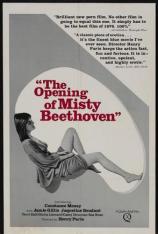 贝多芬小姐的启蒙 The Opening of Misty Beethoven