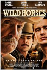 野马 Wild Horses