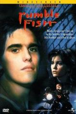 斗鱼 Rumble Fish
