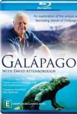 【左右半宽】大卫·爱登堡：加拉帕戈斯群岛 "Galapagos 3D"