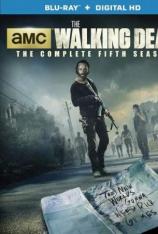 【美剧】行尸走肉 第五季 "The Walking Dead" Episode #5.1