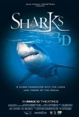 【3D原盘】IMAX：鲨鱼 Sharks 3D
