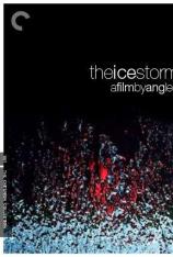 冰风暴 The Ice Storm