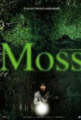 苔藓 Moss