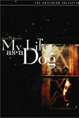 狗脸的岁月 My Life as a Dog