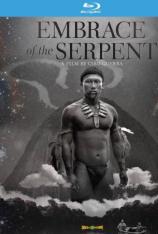 蛇之拥抱 Embrace of the Serpent