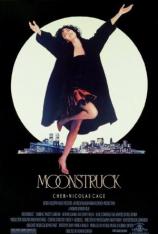 月色撩人 Moonstruck