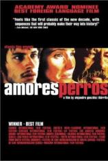 爱情是狗娘 Amores Perros