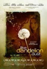 蒲公英的灰尘 Like Dandelion Dust