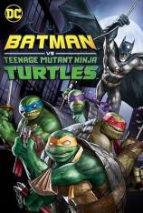 【4K原盘】蝙蝠侠大战忍者神龟 Batman vs Teenage Mutant Ninja Turtles