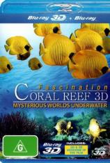 【3D原盘】魅力珊瑚礁：水下神秘世界 