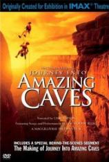 别有洞天 Journey Into Amazing Caves