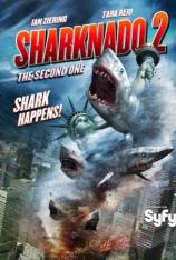 【3D原盘】鲨从天降2：再来一次 Sharknado 2: The Second One
