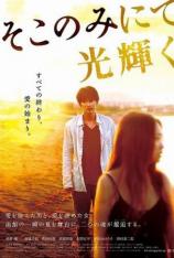 只在那里发光 The Light Shines Only There