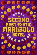 涉外大饭店2 The Best Exotic Marigold Hotel 2