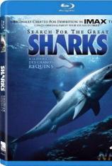 IMAX：鲨鱼探索 