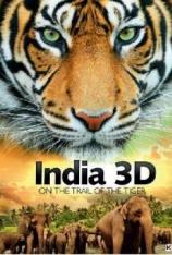 印度：在老虎的脚步 