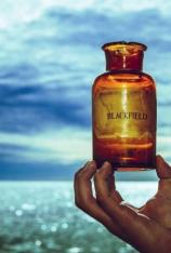 Blackfield：Blackfield V 2017演唱会 