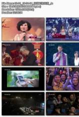 2011年深圳卫视全球华人新春盛典 