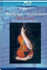 贝多芬门德尔松：小提琴协奏曲 Beethoven - Mendelssohn: Violin Concertos - Acoustic Reality Experience