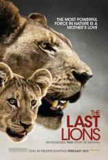 国家地理：最后的狮子 The Last Lions