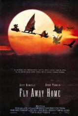 伴你高飞/返家十万里 Fly Away Home