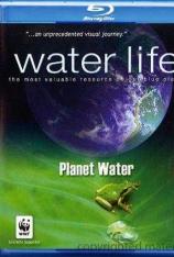 【3D原盘】BBC：水世界 Water Life