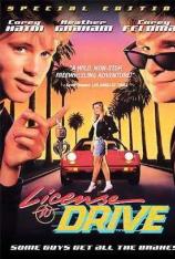 驾驶执照 License to Drive