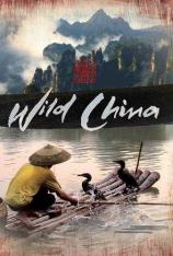 美丽中国 "Wild China"