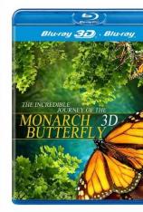 【3D原盘】莫纳克蝴蝶的神奇之旅 The.Incredible.Journey.Of.The.Monarch.Butterflies