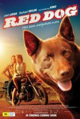 红犬历险记 Red Dog