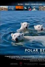 【左右半宽】北极熊：一个夏天的奥德赛 Polar Bears: A Summer Odyssey