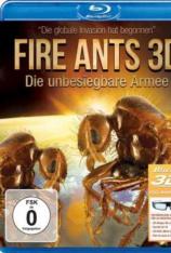 【左右半宽】火蚁：无敌的军队 Fire Ants 3D: The Invincible Army