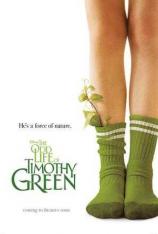 蒂莫西的奇异生活 The Odd Life of Timothy Green