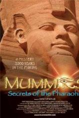 【左右半宽】木乃伊之法老的秘密 Mummies: Secrets of the Pharaohs