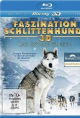 【左右半宽】奥德赛雪橇犬大赛 Mushers La Grande Odyssee Savoie Mont Blanc
