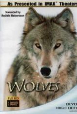IMAX：狼的故事 IMAX Wolves