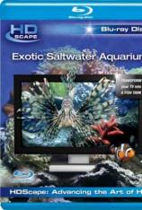 异国海洋水族馆 Exotic Saltwater Aquarium