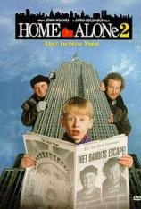 小鬼当家2 Home Alone 2: Lost in New York