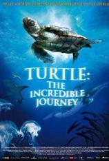 【左右半宽】海龟 奇妙之旅 Turtle: The Incredible Journey