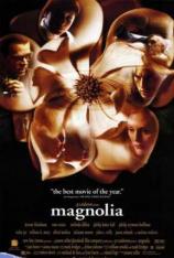 木兰花 Magnolia