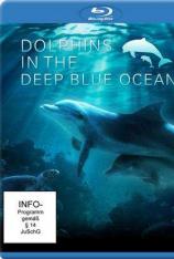 【左右半宽】深蓝色海洋里的海豚 Dolphins in the Deep Blue Ocean